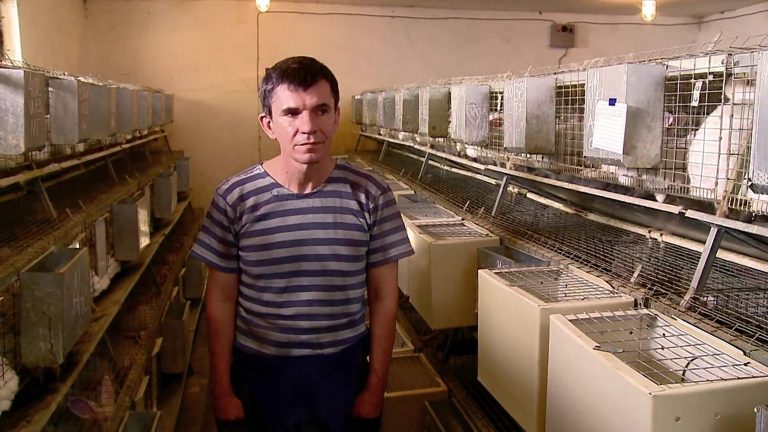 Slavko Stimac